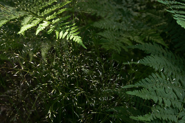 Similar image 21062706