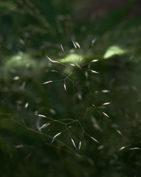 Similar image 21062708