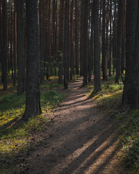 Similar image 21062709