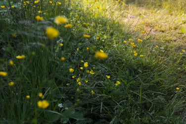 Similar image 21062710