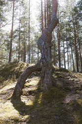 Similar image 21062711