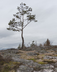 Similar image 21062714