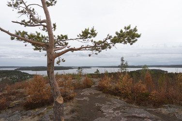 Similar image 21062715