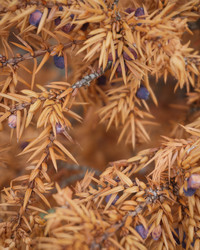 Similar image 21062716