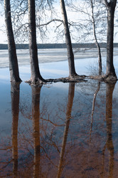 Similar image 21062720