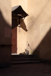 Similar image 21062722