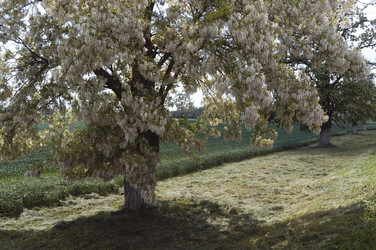 Similar image 21062723