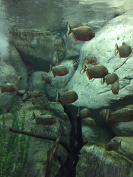 Similar image 21064421