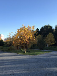 Similar image 21062676