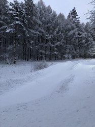 Similar image 21062677