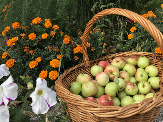 Similar image 21062679