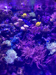 Similar image 21064427