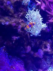 Similar image 21062634