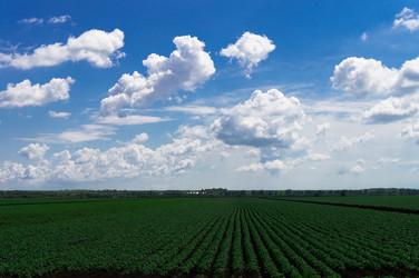 Similar image 21062725