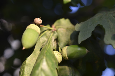 Similar image 21062689