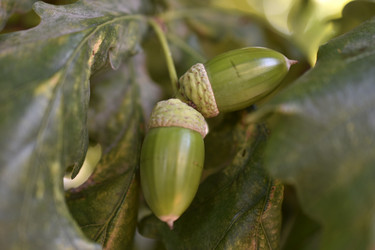 Similar image 21062690