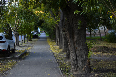 Similar image 21062692