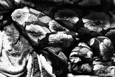 Similar image 21062726