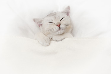 Similar image 21063146