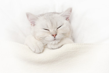 Similar image 21063147