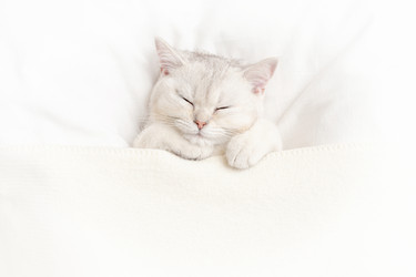 Similar image 21063148