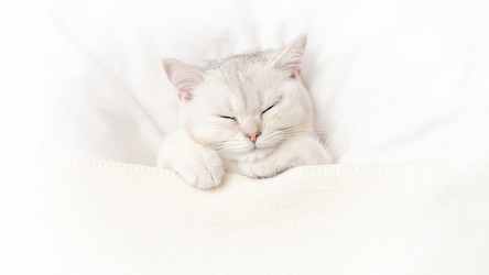 Similar image 21063149