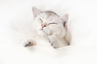 Similar image 21063150