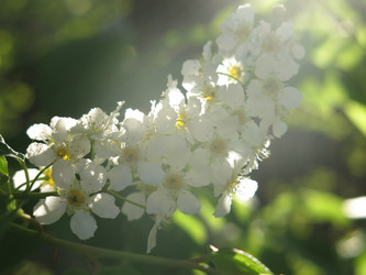 Similar image 21063133