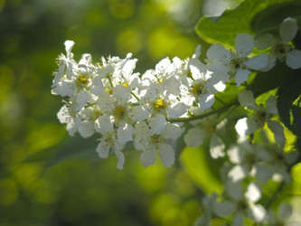 Similar image 21063134