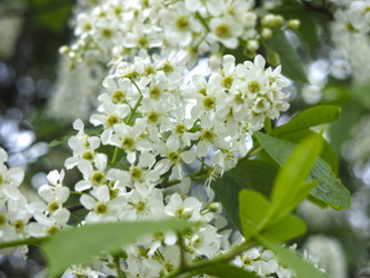 Similar image 21063136