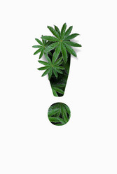 Similar image 21070022