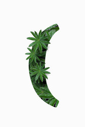 Similar image 21063277