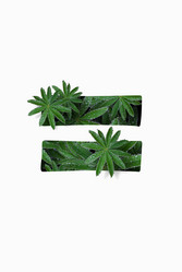 Similar image 21066544