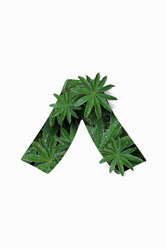 Similar image 21066545