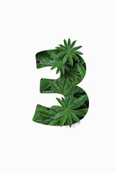 Similar image 21066548