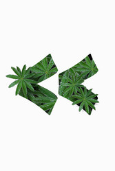 Similar image 21070026