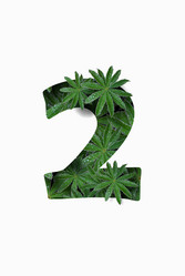 Similar image 21066549