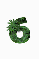 Similar image 21066551