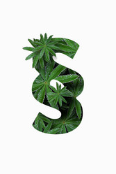 Similar image 21070027