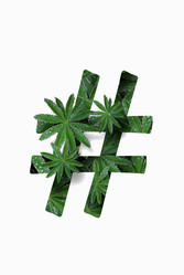 Similar image 21070028