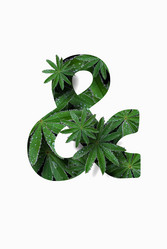 Similar image 21063279