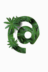 Similar image 21066553