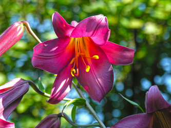 Similar image 21063291