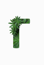 Similar image 21070029