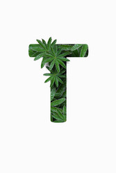 Similar image 21071380