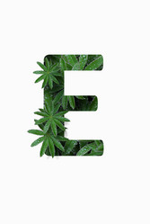 Similar image 21070030