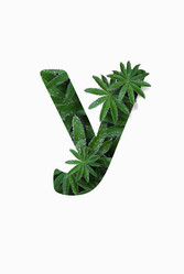 Similar image 21071382