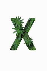 Similar image 21071384