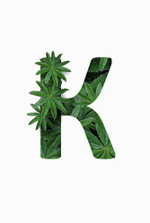 Similar image 21070034