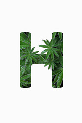 Similar image 21070036